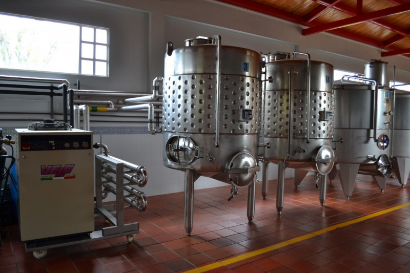 cave-ST SAUVEUR SUR TINEE-min_wine_production_cantine_winery_drink_alcohol_vine_beverage-902036